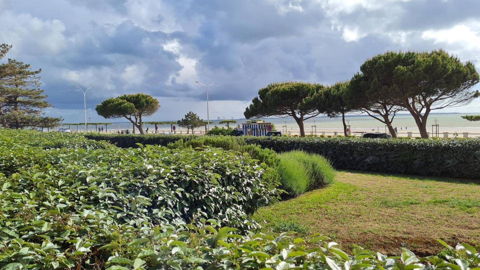 Saint Georges De Didonne - Vue Mer Pour Ce Studio Cosy En Rez-De-Chaussee 外观 照片