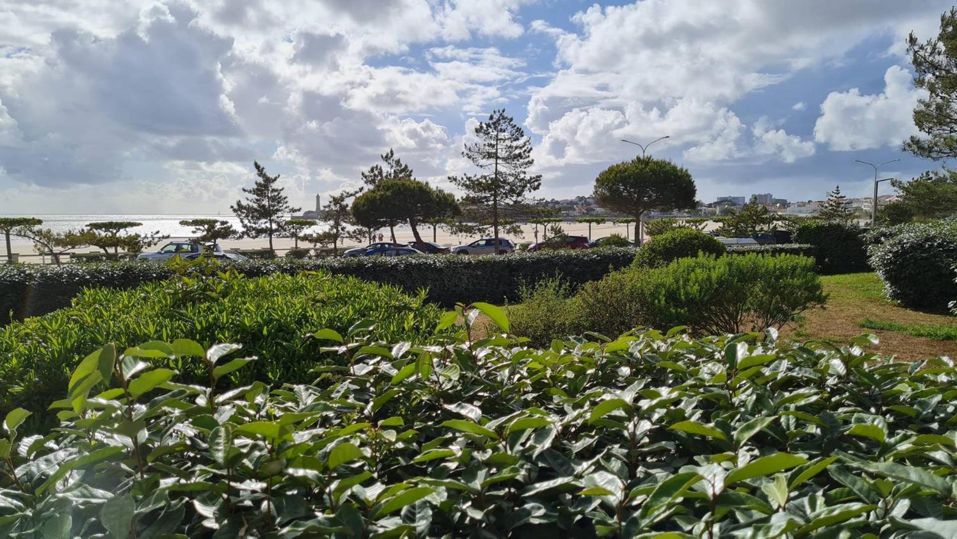 Saint Georges De Didonne - Vue Mer Pour Ce Studio Cosy En Rez-De-Chaussee 外观 照片