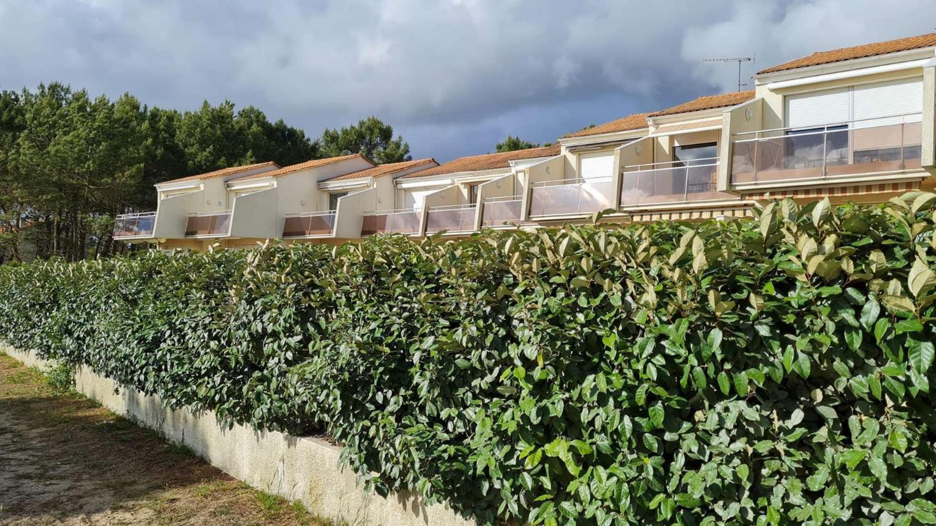 Saint Georges De Didonne - Vue Mer Pour Ce Studio Cosy En Rez-De-Chaussee 外观 照片